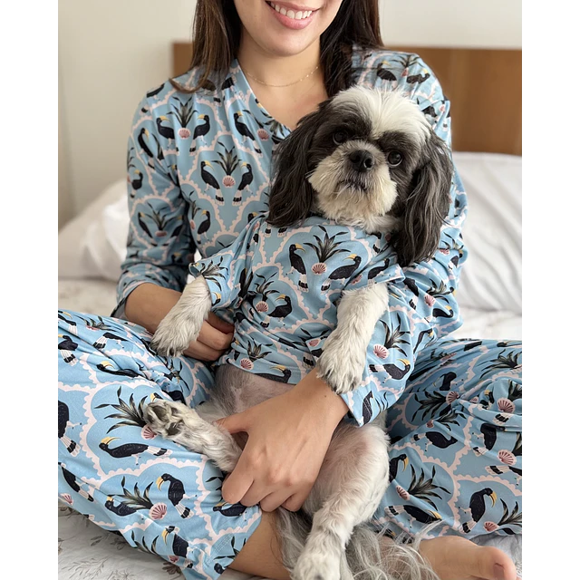 PETS: Aves negras | Talla M (4)