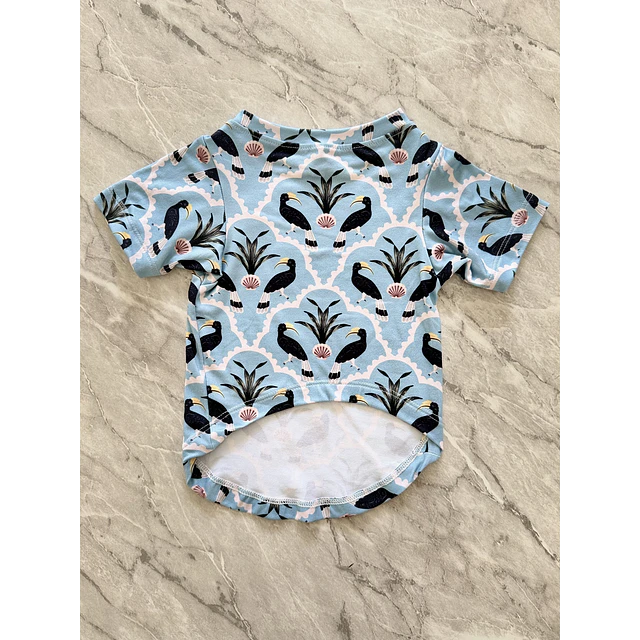 PETS: Aves negras | Talla M (4)