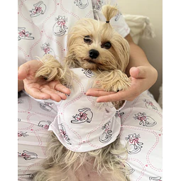 PETS: Gaticos coquette | Talla S (3)