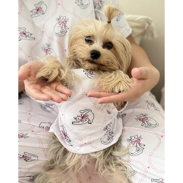 PETS: Gaticos coquette | Talla S (3)