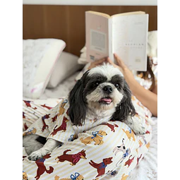 PETS: Perritos mantequilla | Talla L (5)