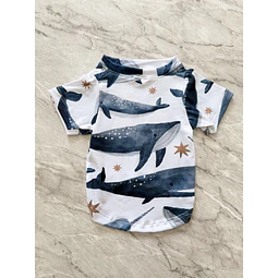 PETS: Ballenatos | Talla S (3) - M (4)