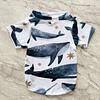 PETS: Ballenatos | Talla S (3) - M (4)