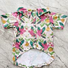 PETS: Loros fucsia | Talla L (5)