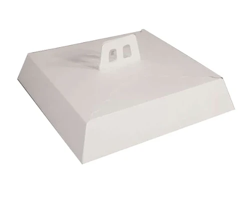 Caja Tartaleta Blanca Chica 29x29x5 - 10 Unidades