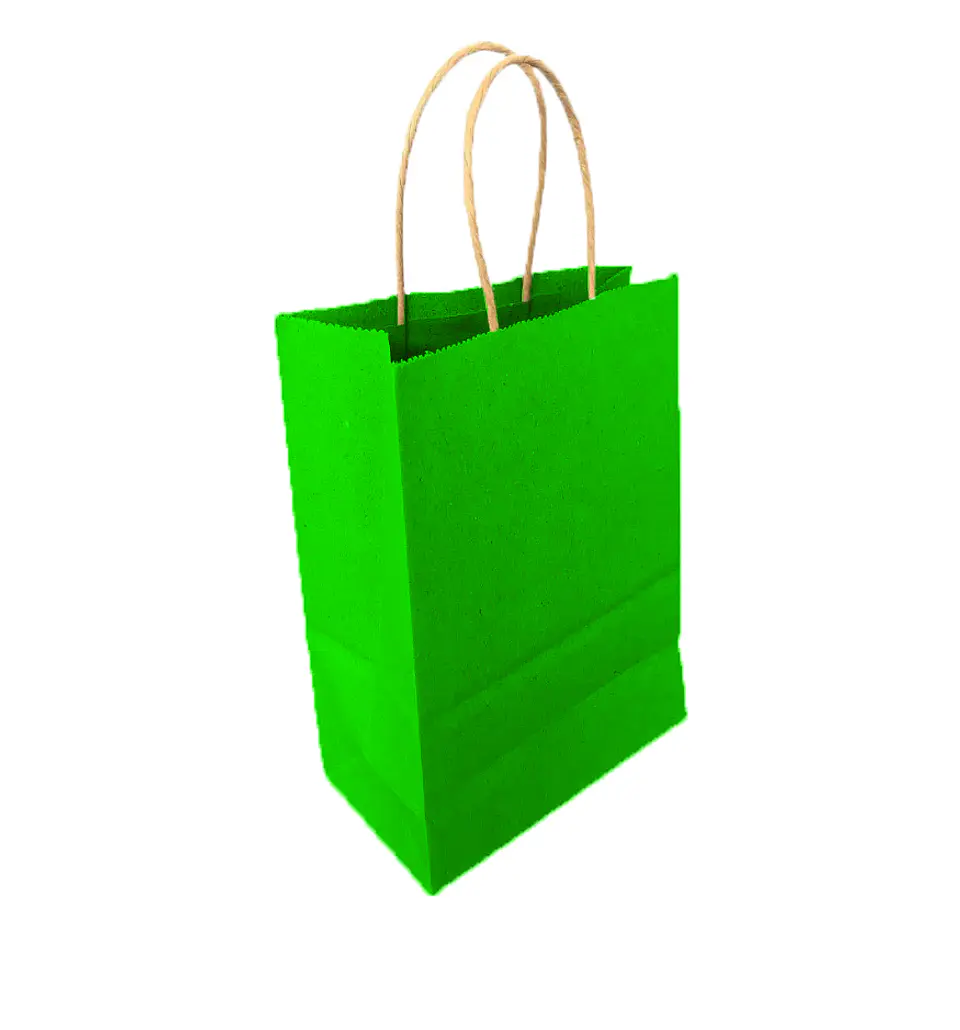 Bolsa Kraft Verde 15x20x8 cm - Paquete de 12 Unidades 1