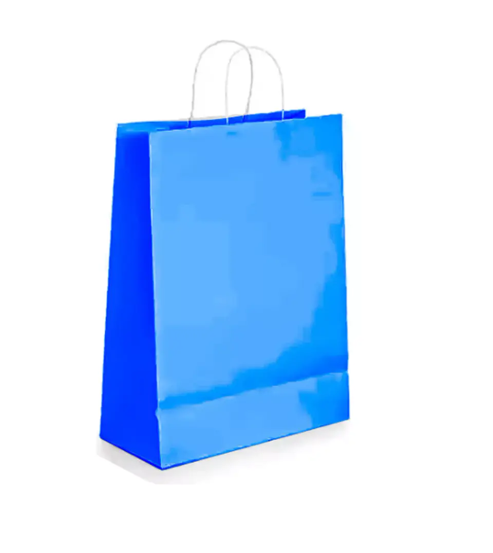 Bolsa Kraft Azul 15x20x8 cm - Paquete de 12 Unidades 3