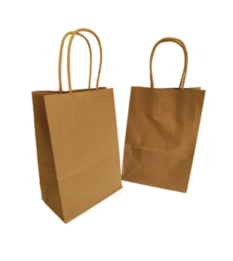 Bolsa Kraft  15x20x8 cm - Paquete de 12 Unidades 5