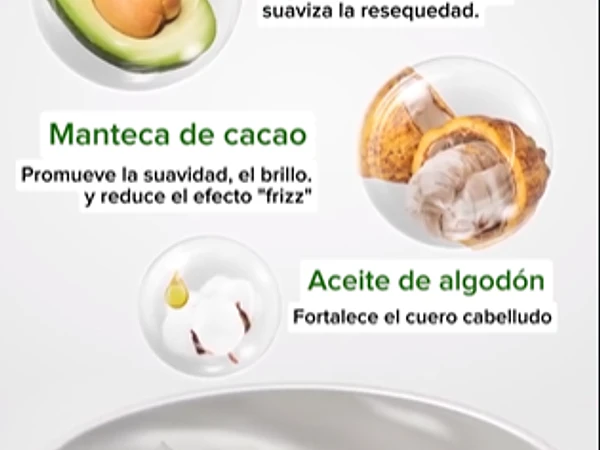 ¿Por qué el pelo se siente sin vida aunque uses crema o aceite? ✨