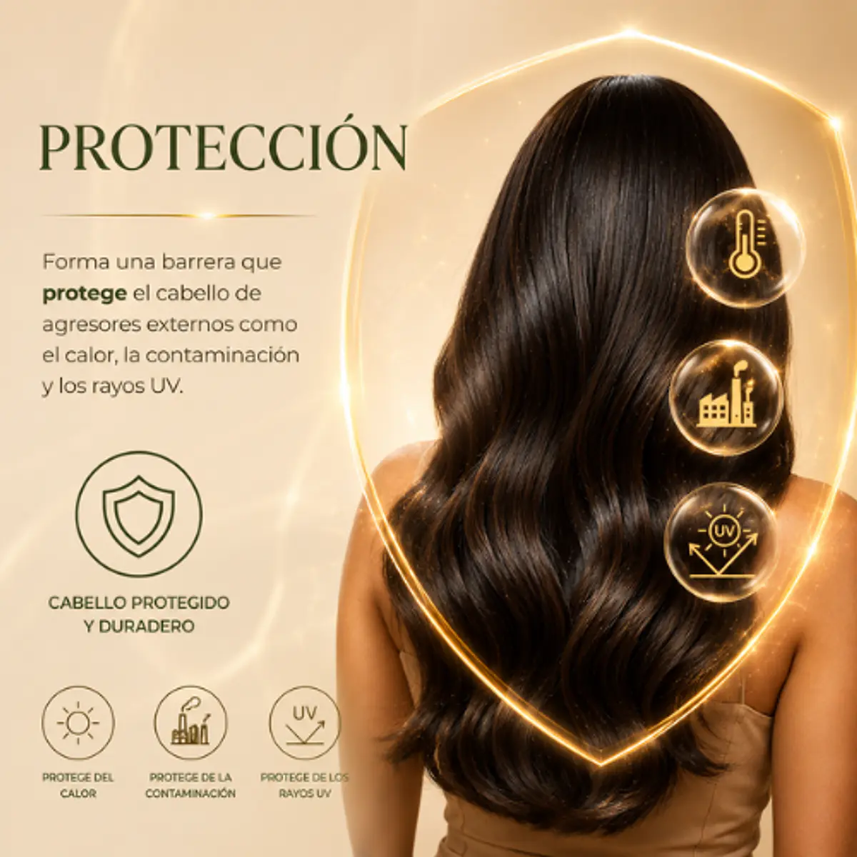Proteccion