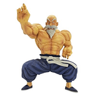 Maestro Roshi Coleccionable 1