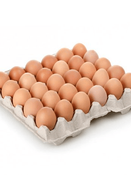 Huevos 30 extra color