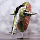 Puzzle Slave 1 Full Color 3D - Miniatura 1