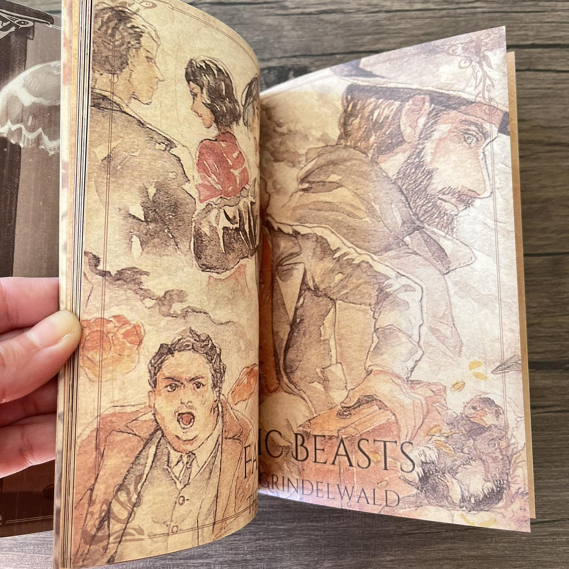 Planner Animales Fantasticos 6