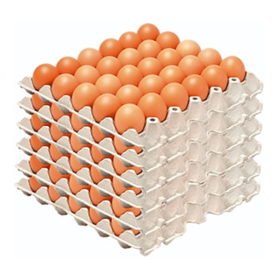 Caja Huevos Primera 180un.