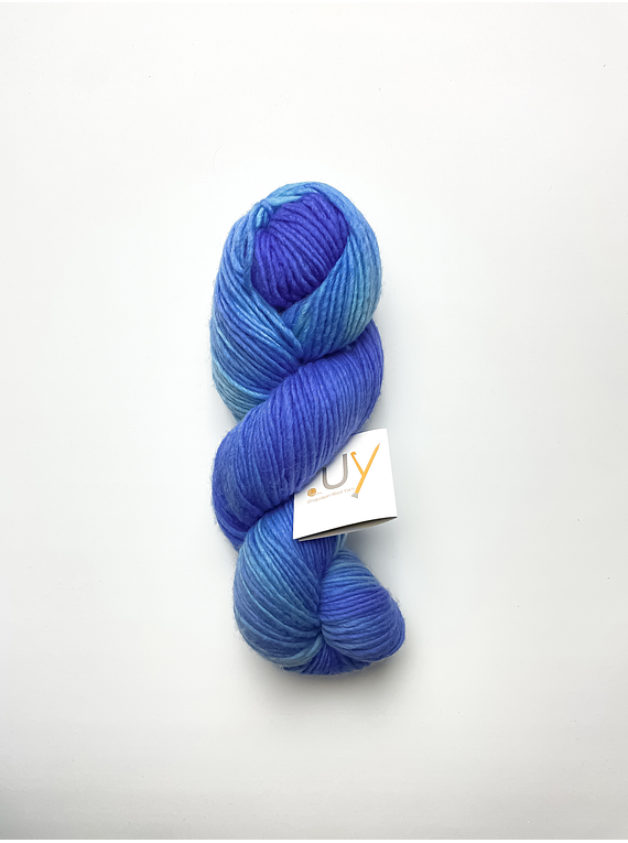 Lana 100% Merino DK Color B004 (Multicolor Azul)