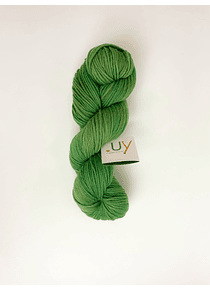 Lana 100% Merino DK Color 13 (Verde Claro)