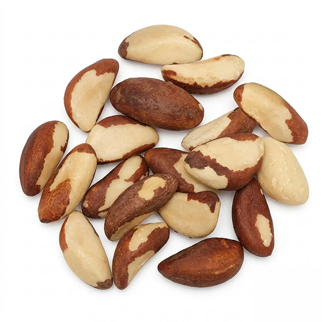 Nuez de Brasil 10 KG. 1