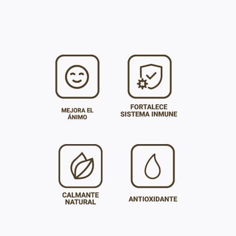 Reishi Sublingual 3:1 | Newpharma | 30 ml