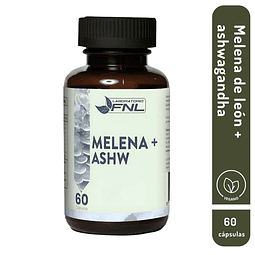 Melena de león + Ashwagandha