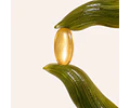 Omega 3 The Good Vegan - 60 cápsulas