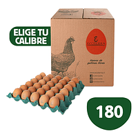 Huevos de campo Ecoterr 6 bandeja de 30