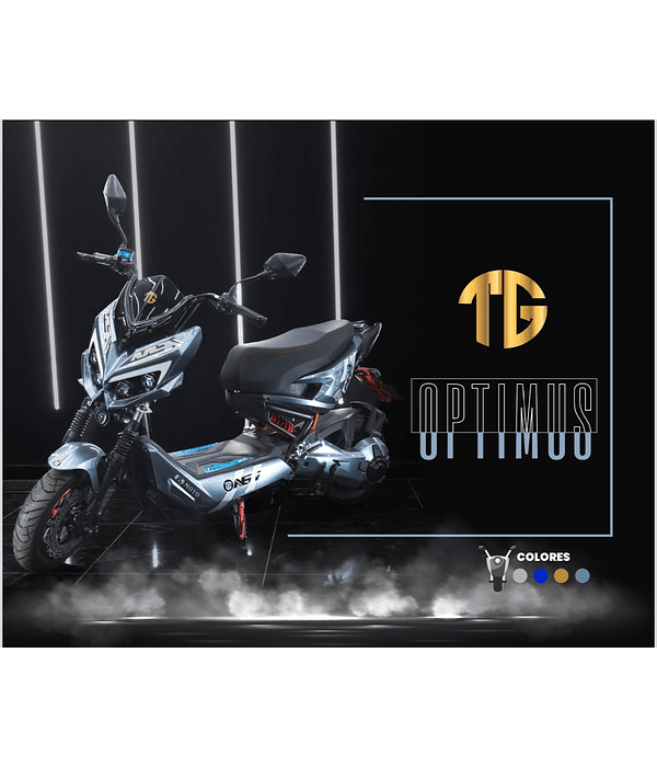Moto Electrica TG Optimus 2000w