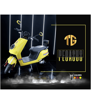 Moto Electrica TG Pegasus 2000w