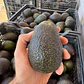 Pack 50kg. Palta Hass Extra - Primera Chilena 🇨🇱  - Miniatura 3
