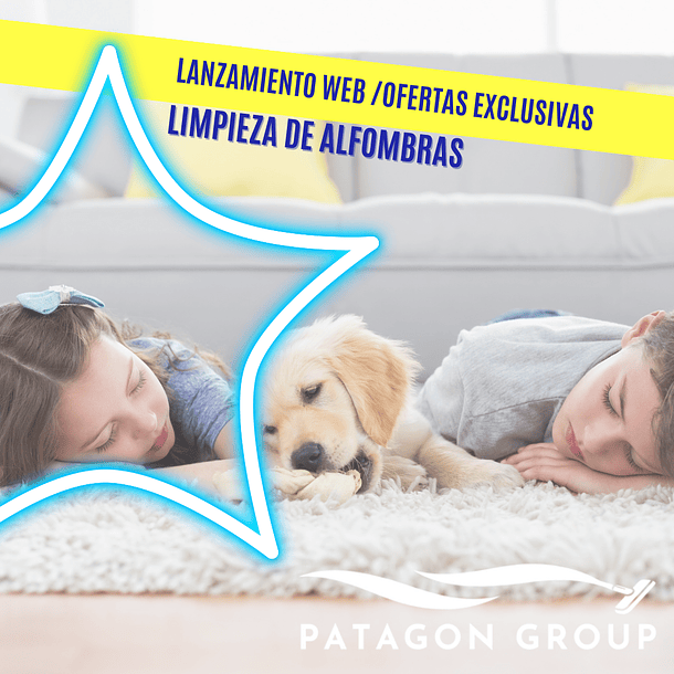 ALFOMBRA MURO A MURO 25 M 2 