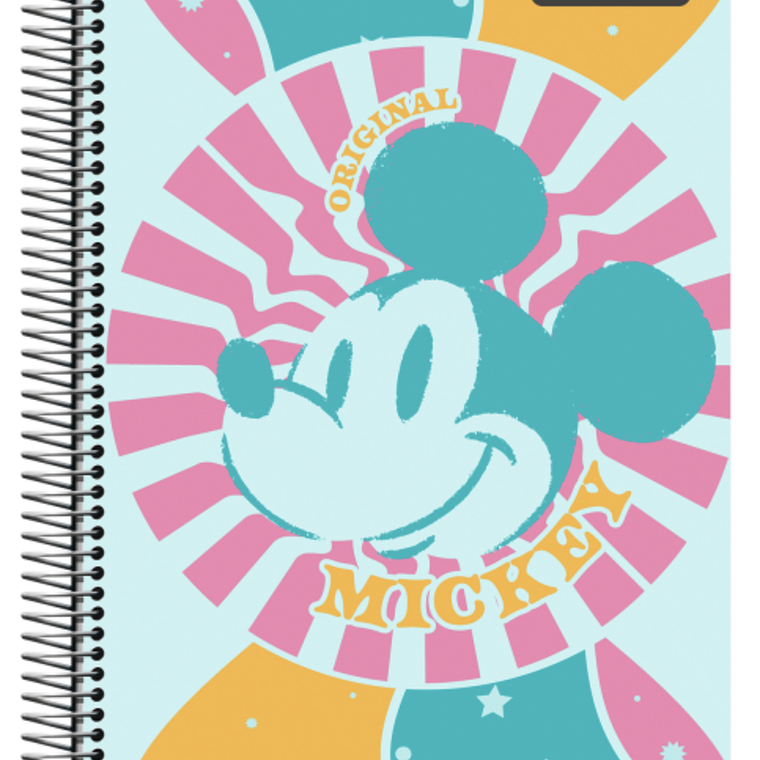CUADERNOS 3 MATERIAS 17
