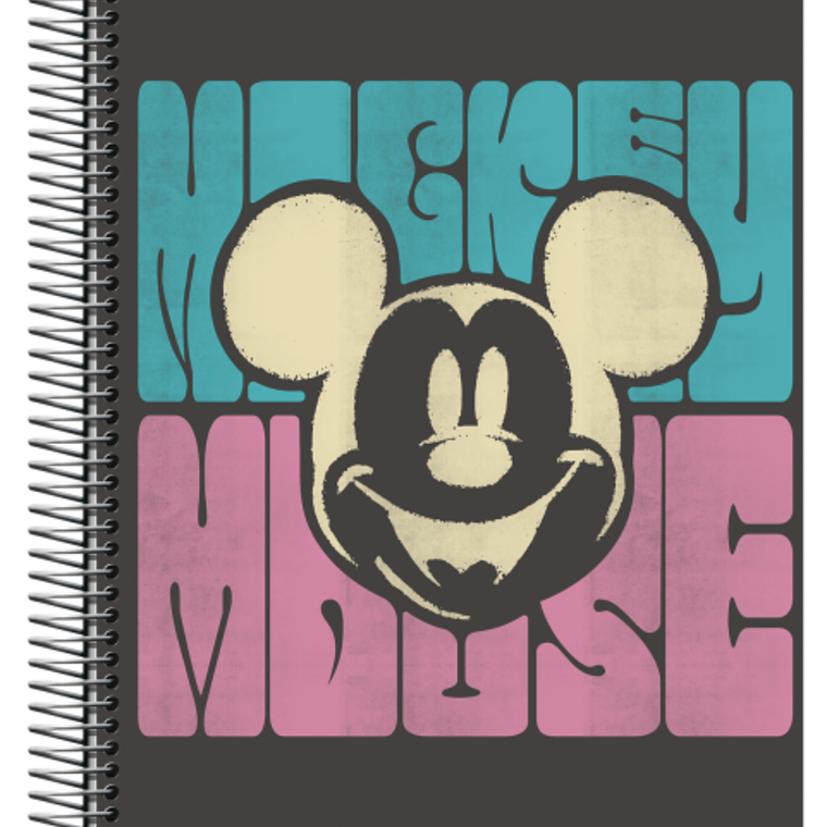 CUADERNOS 3 MATERIAS 19