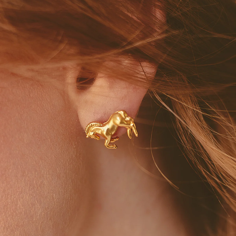 Aretes Caballo 11