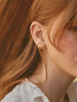 Aretes Caballo