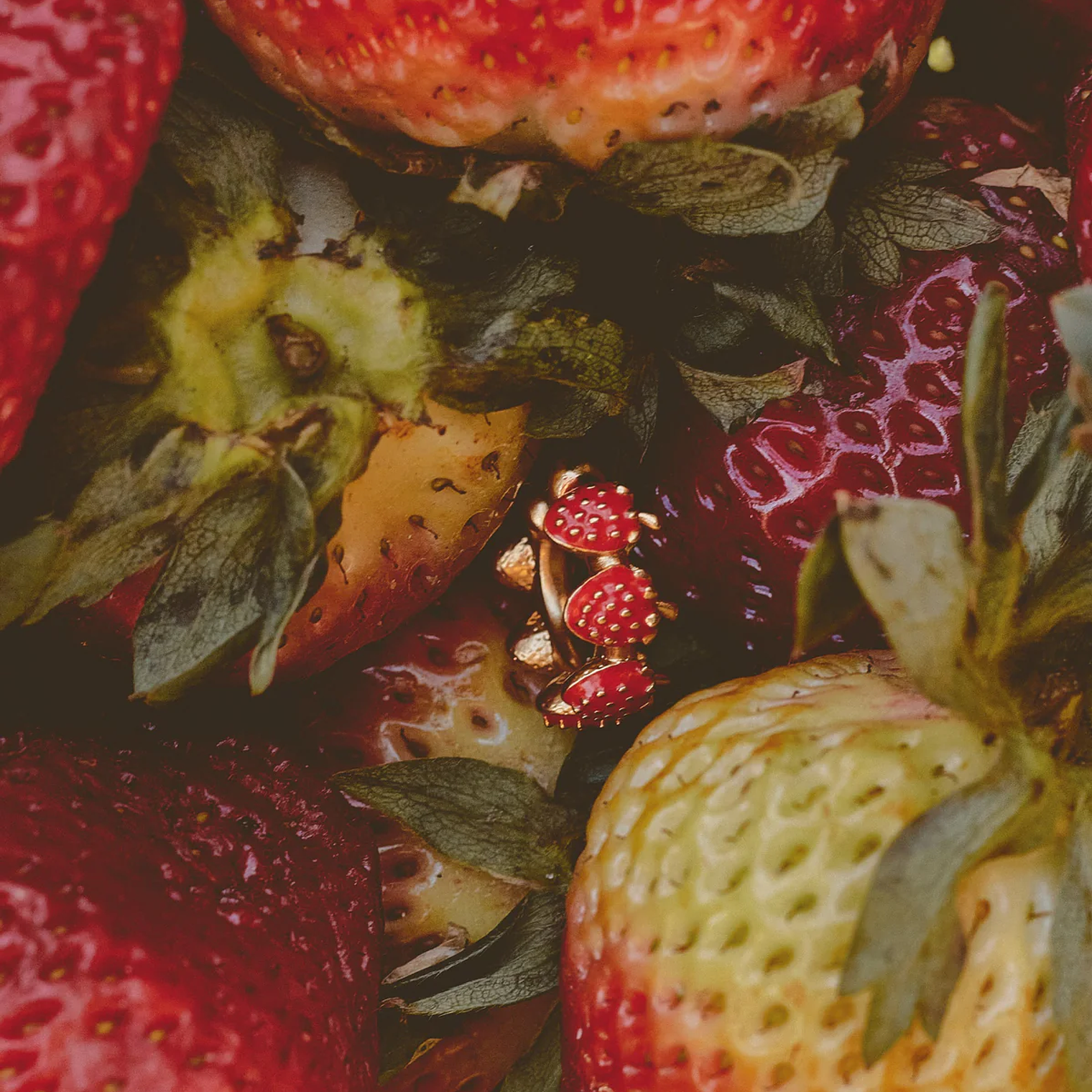 Set de 3 Aretes Huerto 3