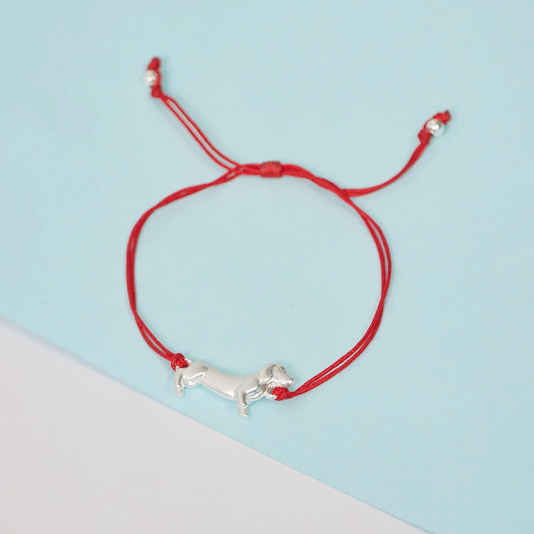 Manilla Perro Salchicha 4