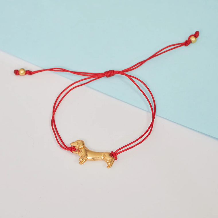 Manilla Perro Salchicha 3