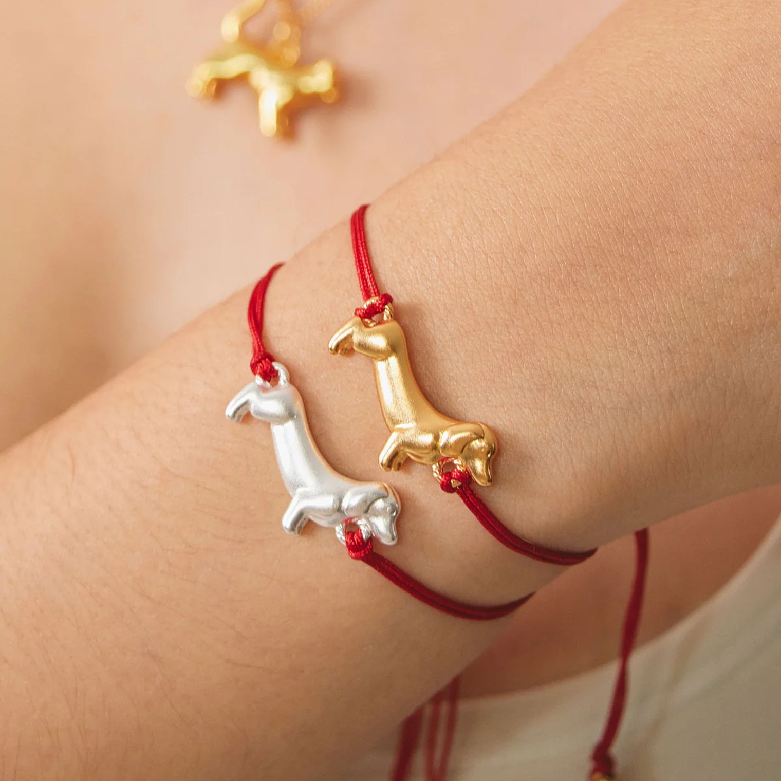 Manilla Perro Salchicha 1