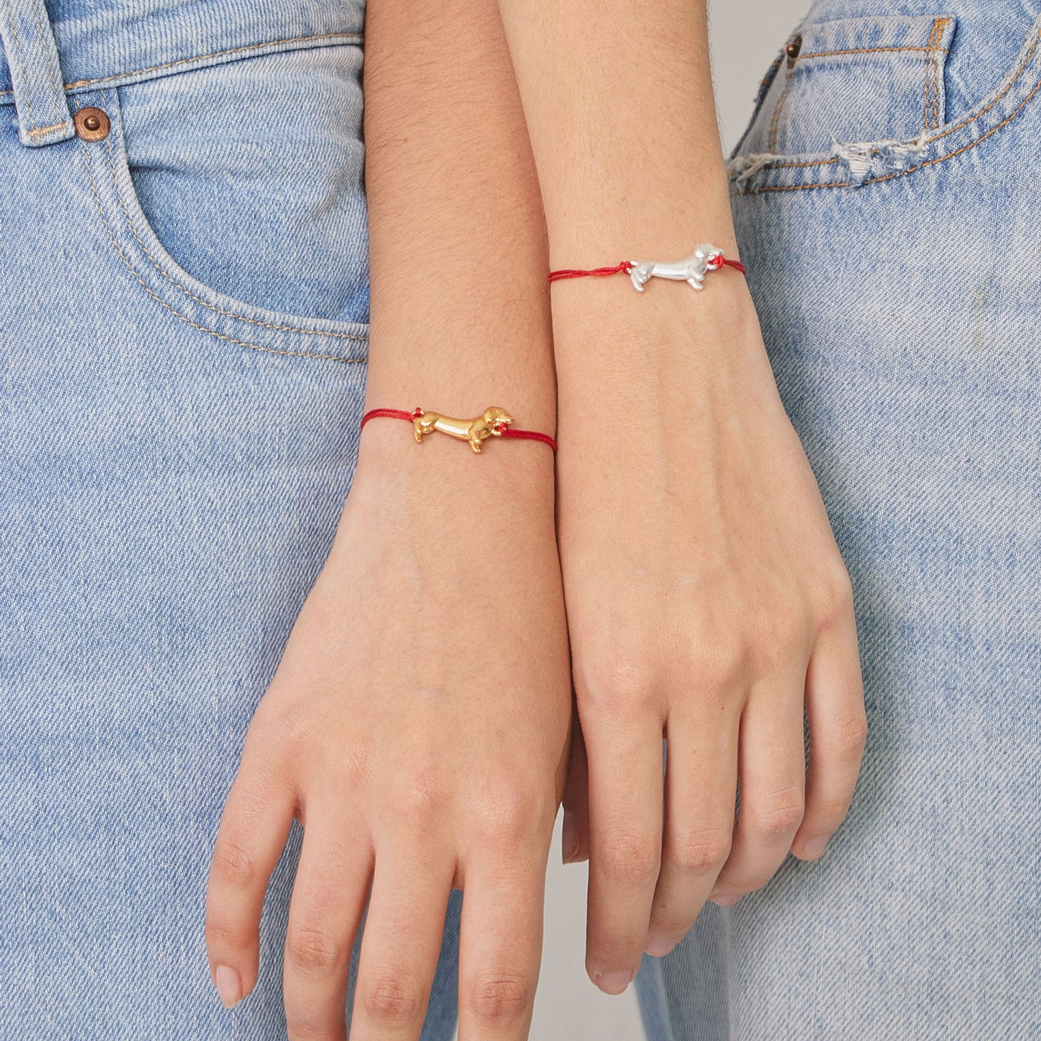 Manilla Perro Salchicha 2