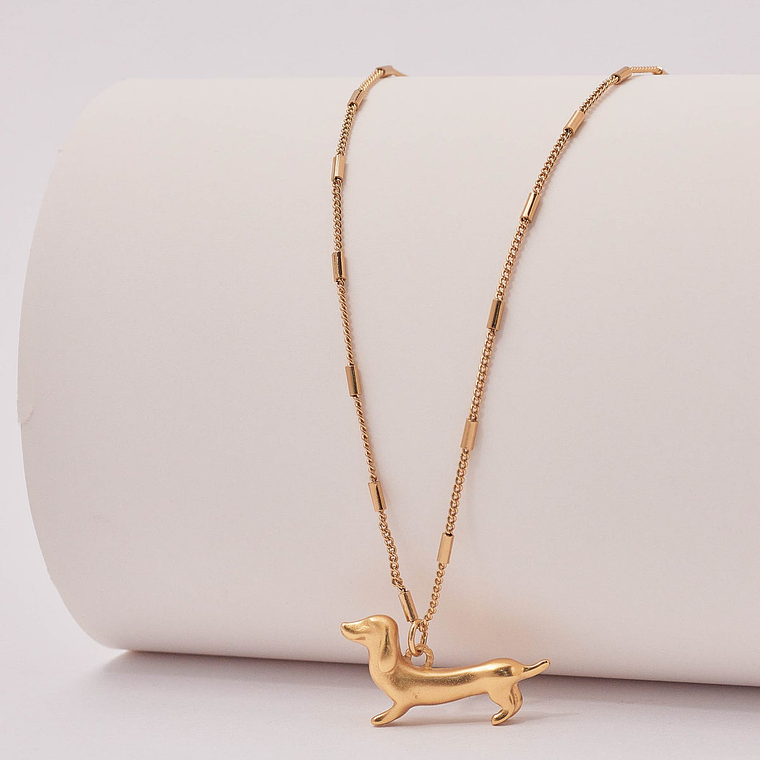 Collar Perro Salchicha 5