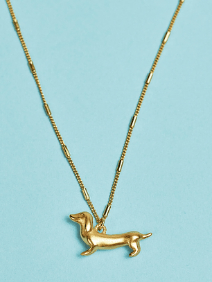 Collar Perro Salchicha