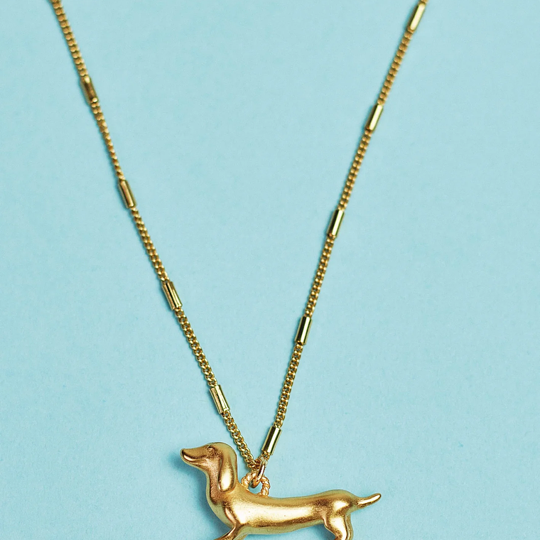 Collar Perro Salchicha 2