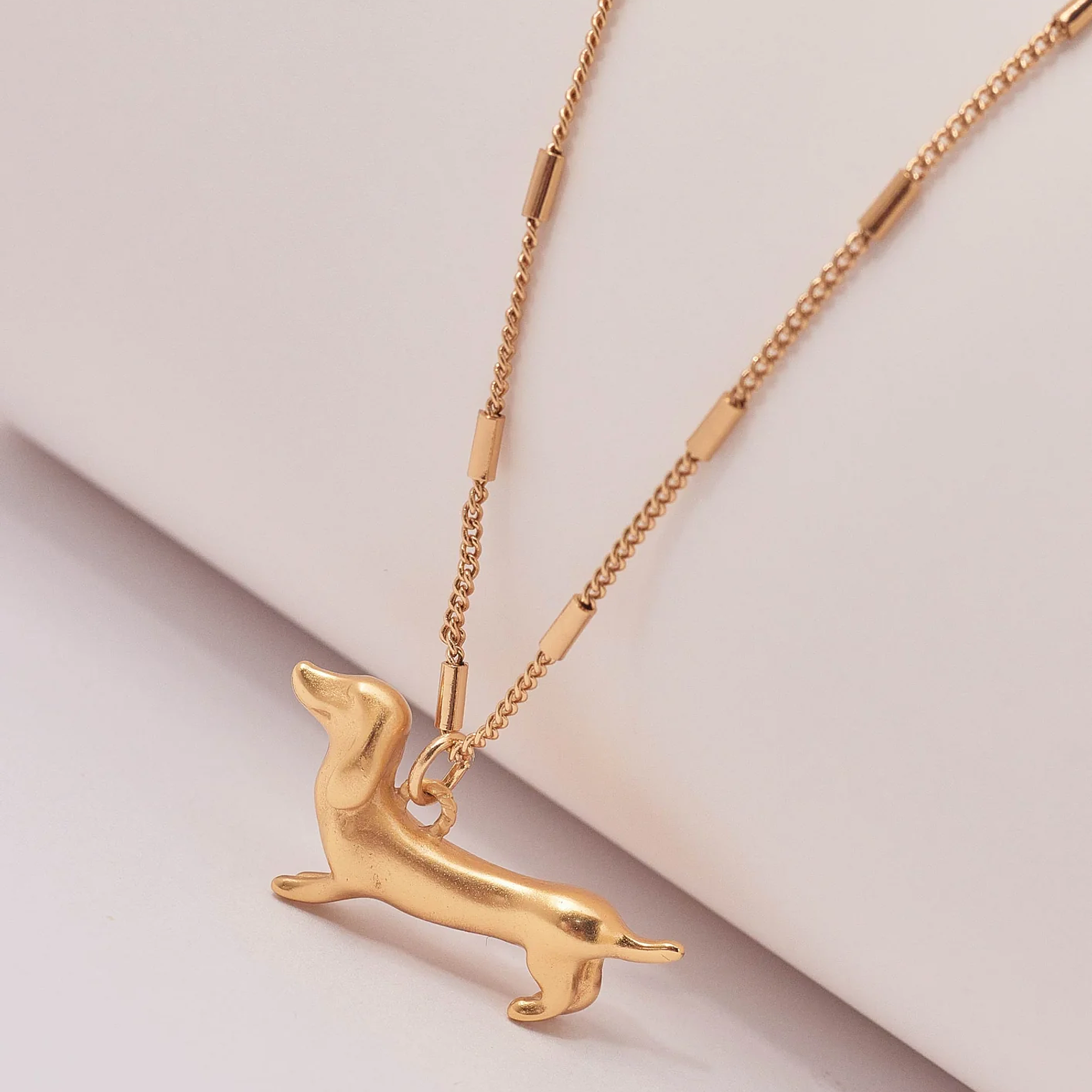 Collar Perro Salchicha 4