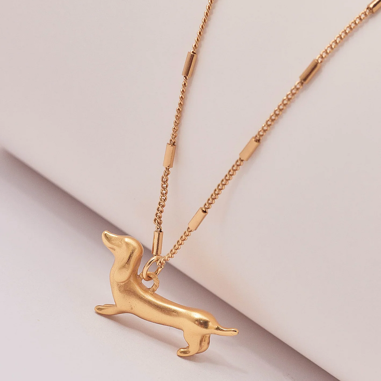 Collar Perro Salchicha 4