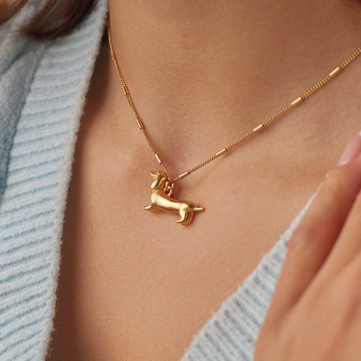 Collar Perro Salchicha 1