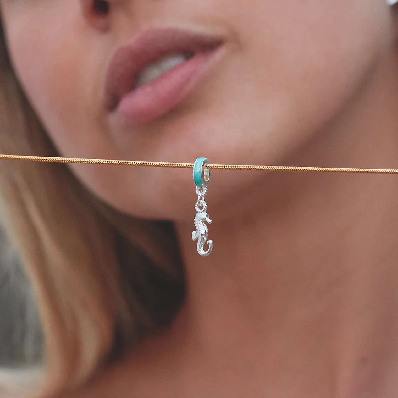 Charm Caballito de Mar 1