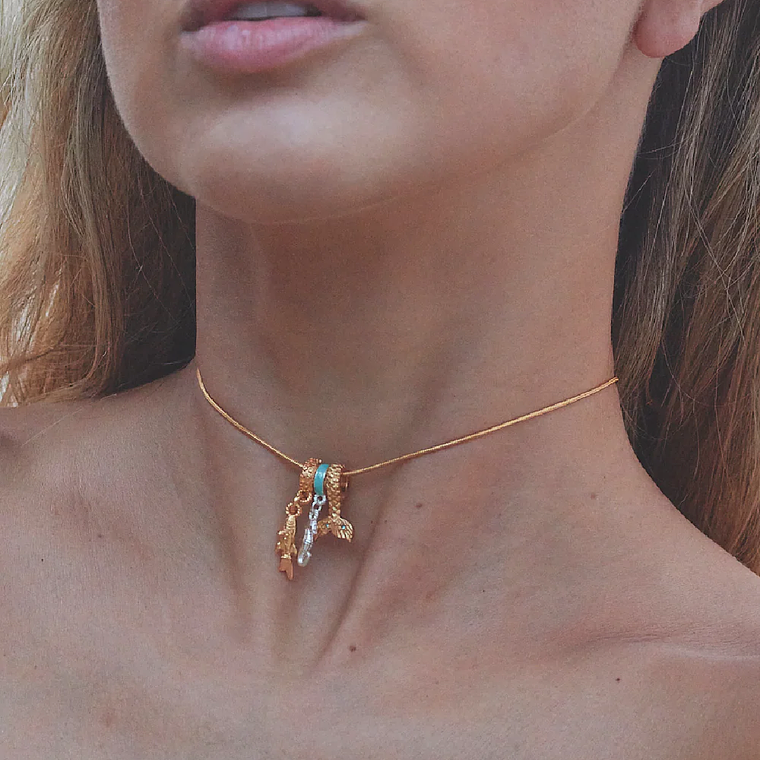 Charm Caballito de Mar 3