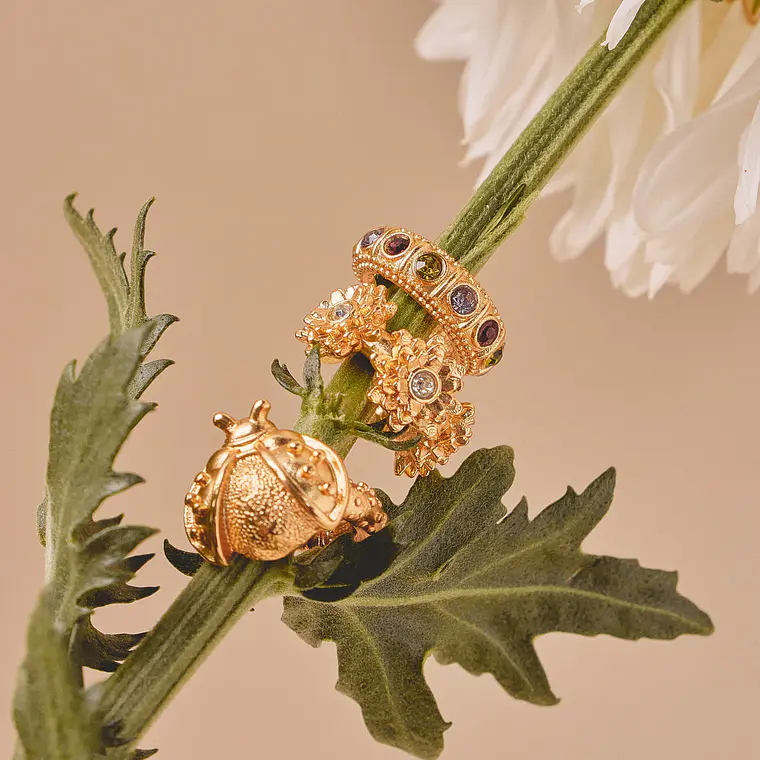 Set 3 Earcuff Naturaleza 4