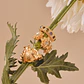 Set 3 Earcuff Naturaleza - Miniatura 4