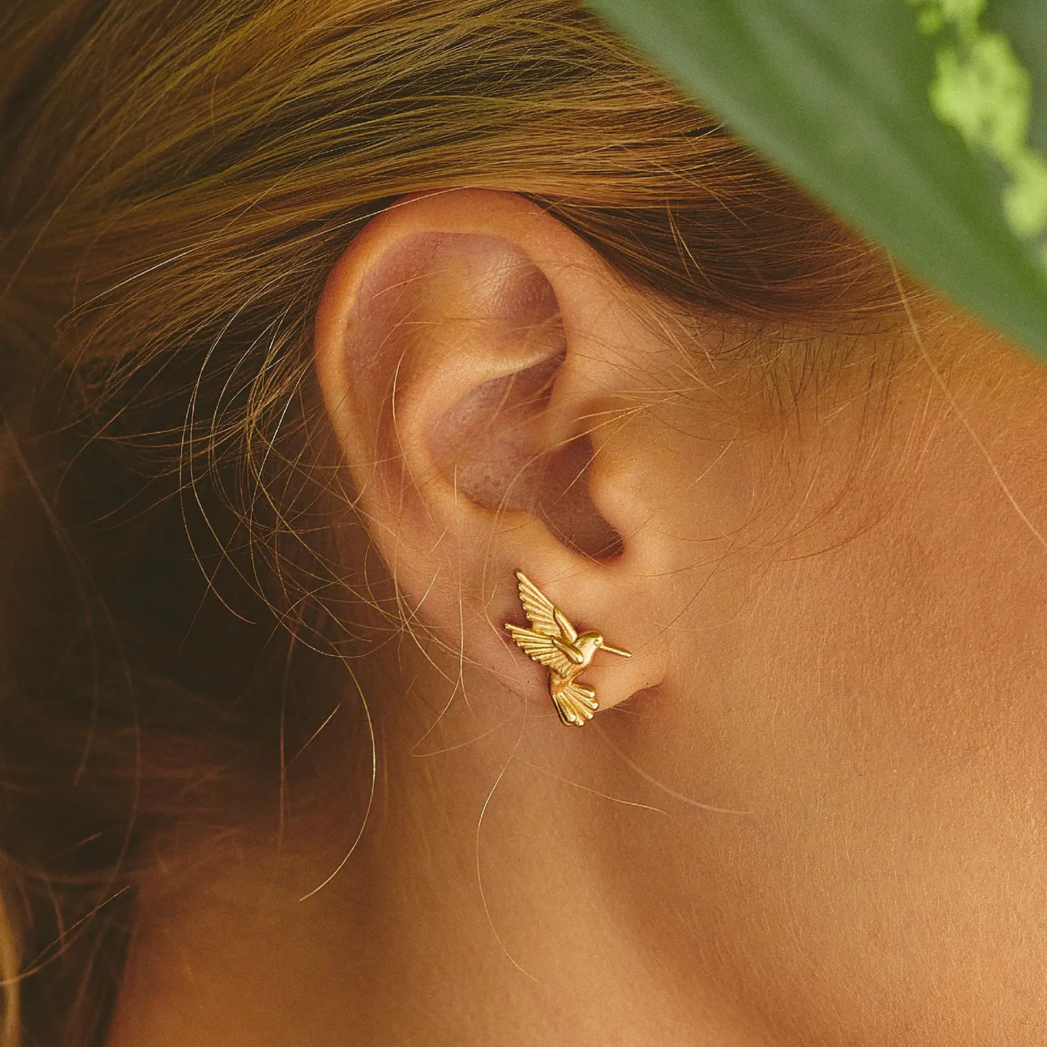 Aretes Colibrí 1